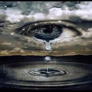 Meet your Posher, Ronnie